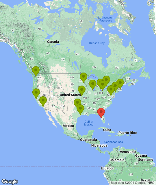 Tampa Bay Rays_league.png